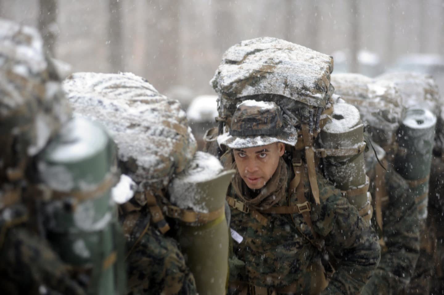 army ocs study guide