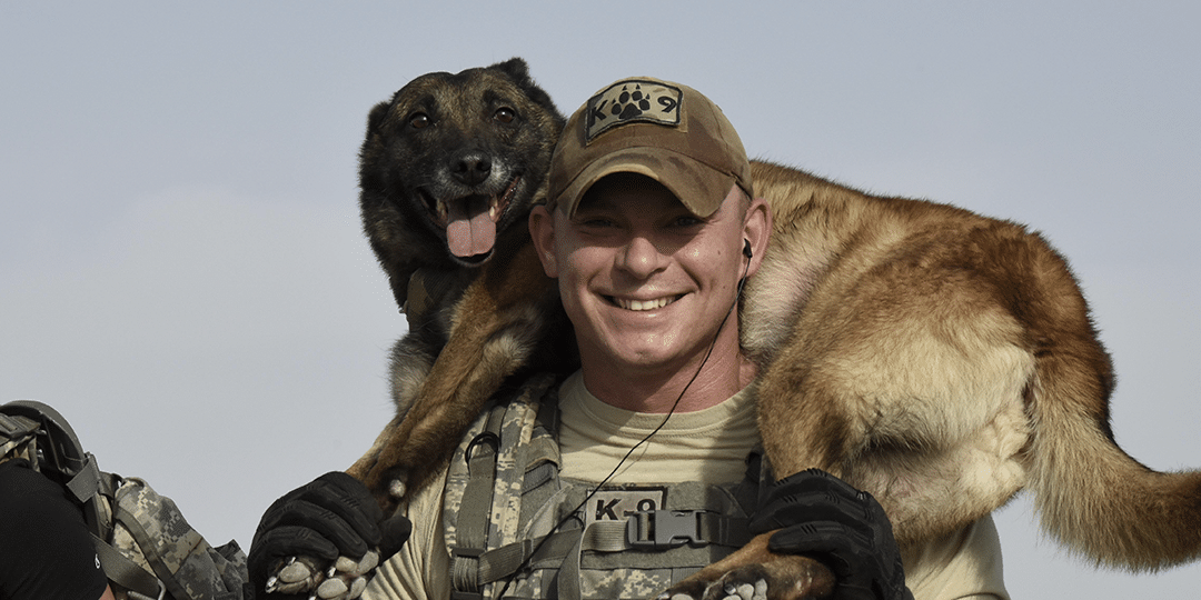 military working dogs