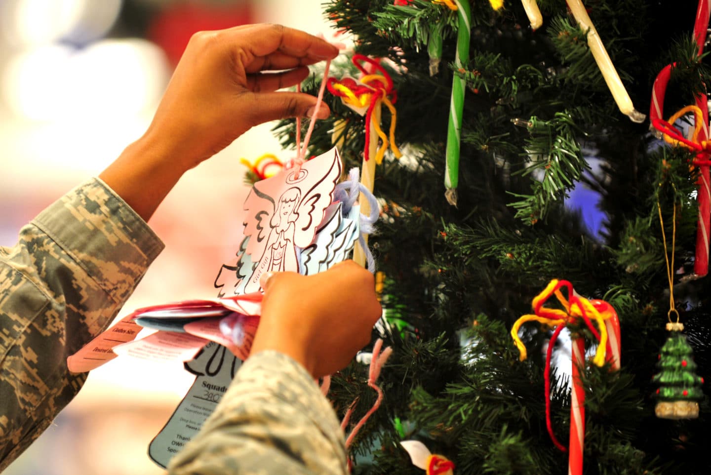 Decorating the Christmas tree