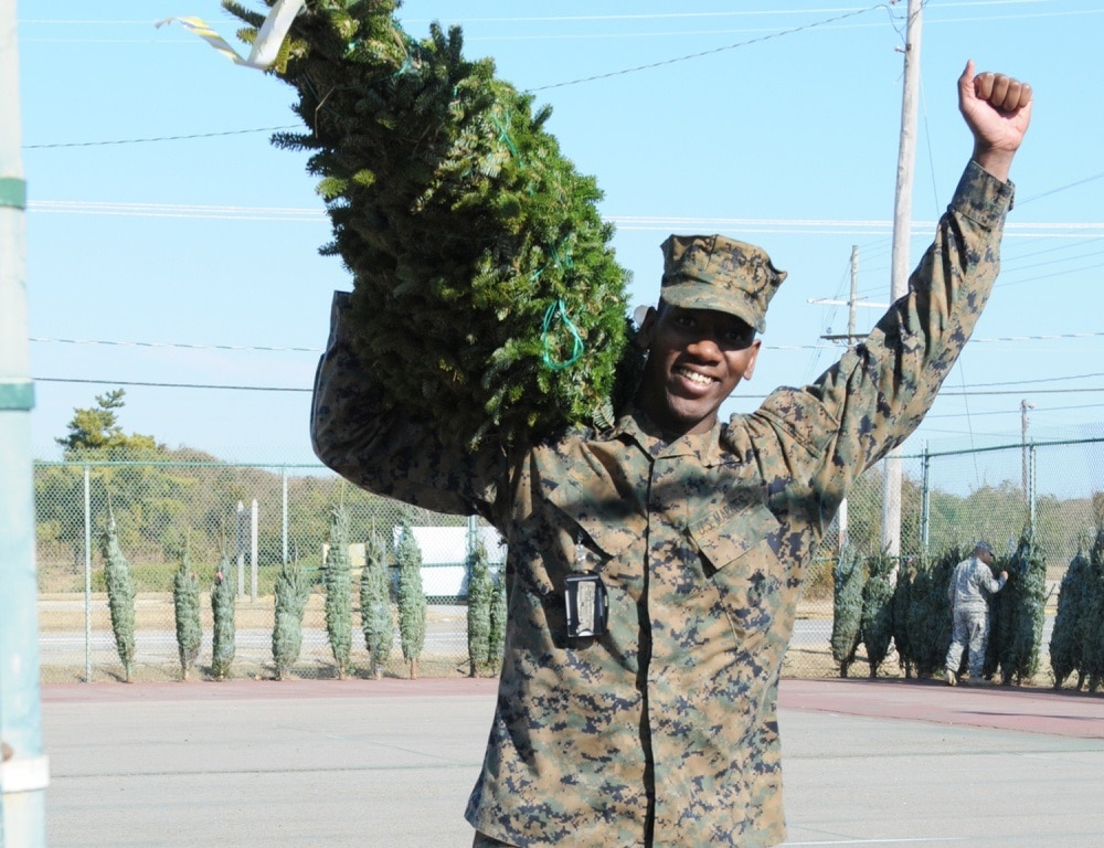 Marine with Christmas Tree