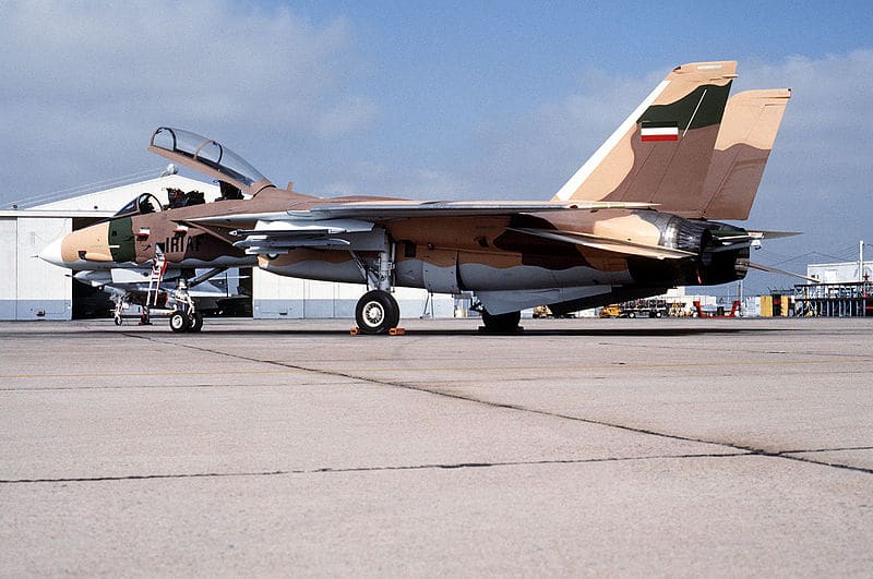 F-14 aggressor