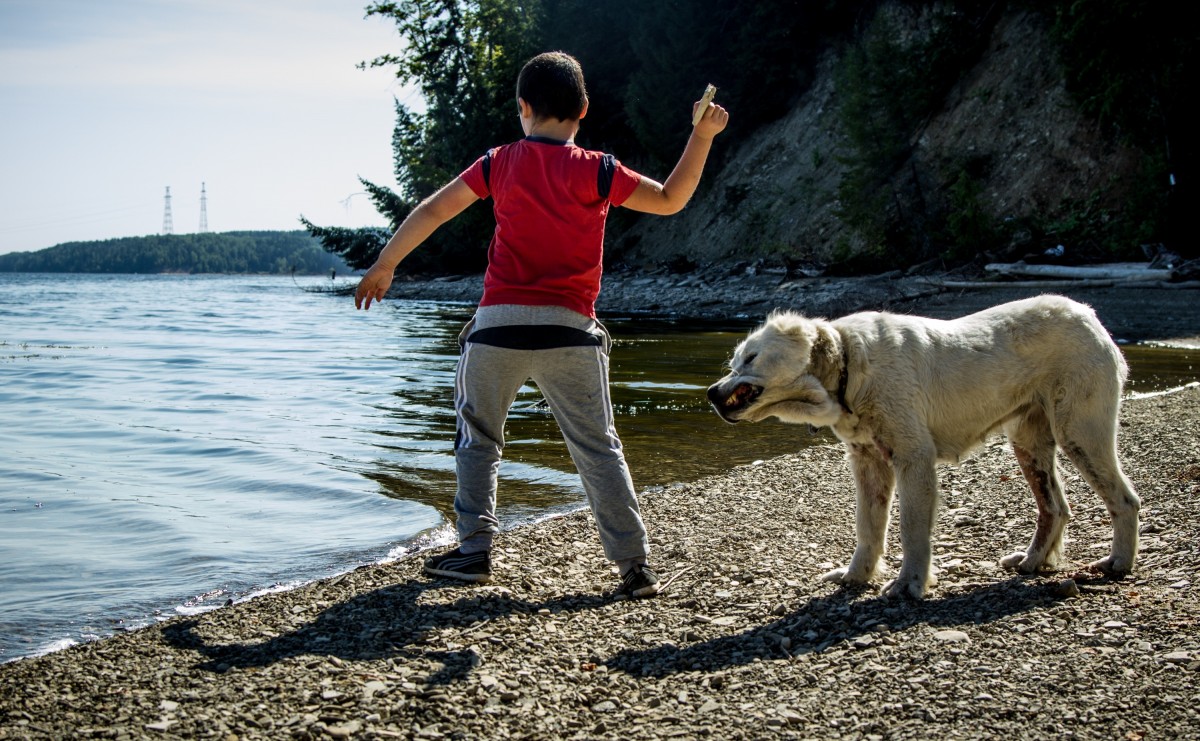 ideas for kids summer
