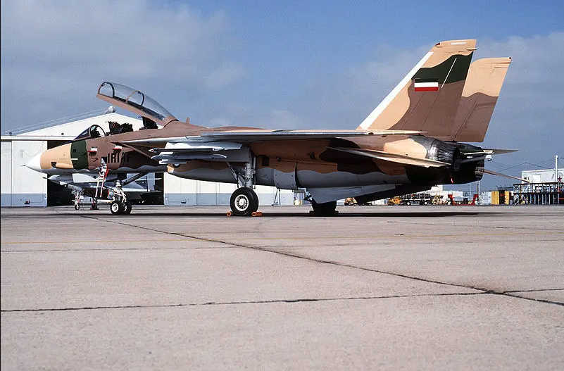 F-14 Tomcat