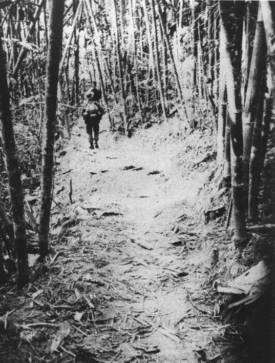In Laos, a MACV-SOG team reconnoiters the Ho Chi Minh Trail for installations and pipelines (Wikimedia.org).