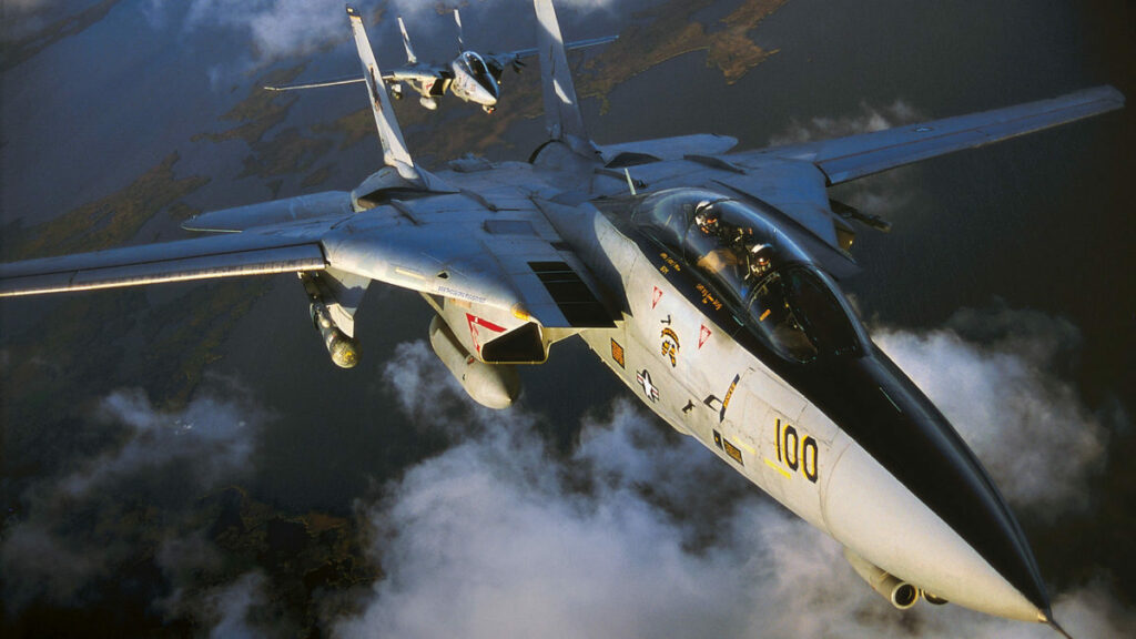 F-14D Super Tomcat, Acepedia