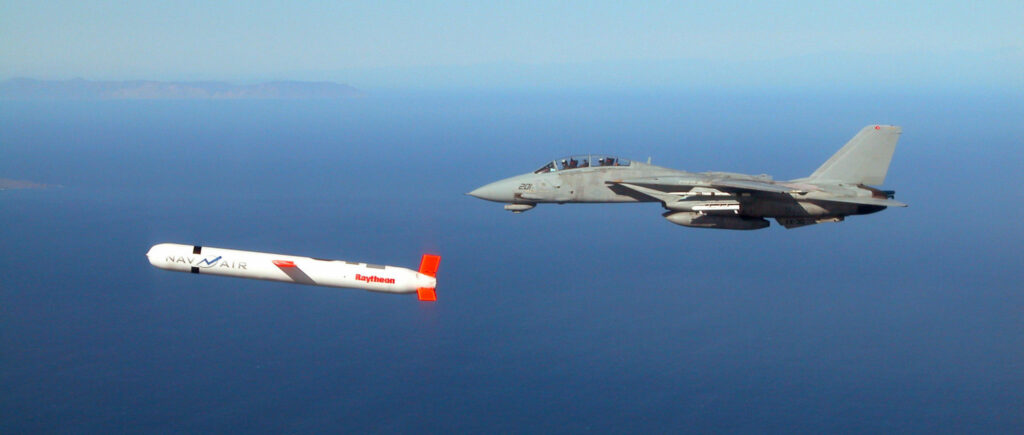 difference between surface and cruise missile