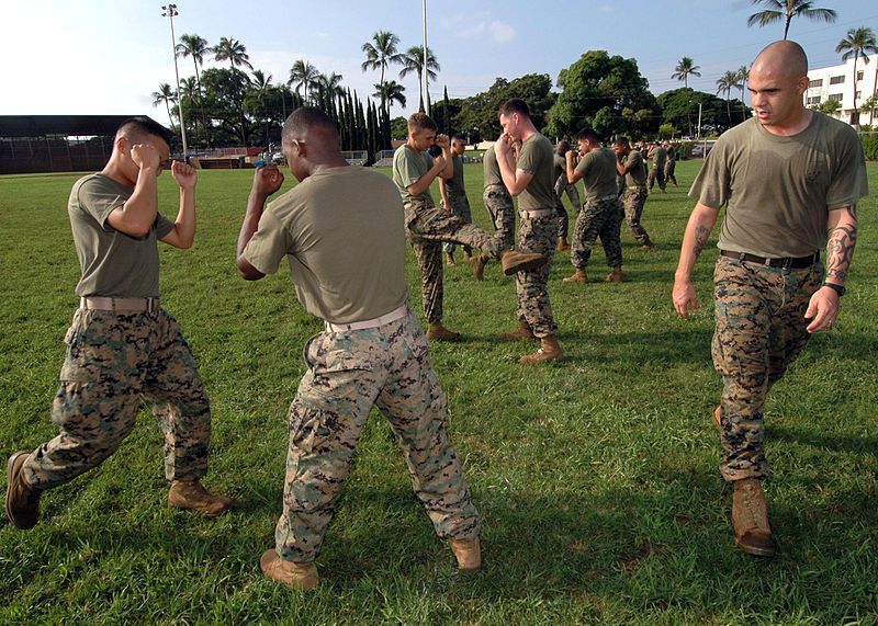 Marines MCMAP training