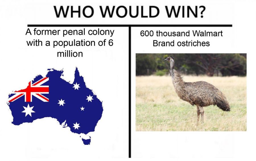 Emu War meme