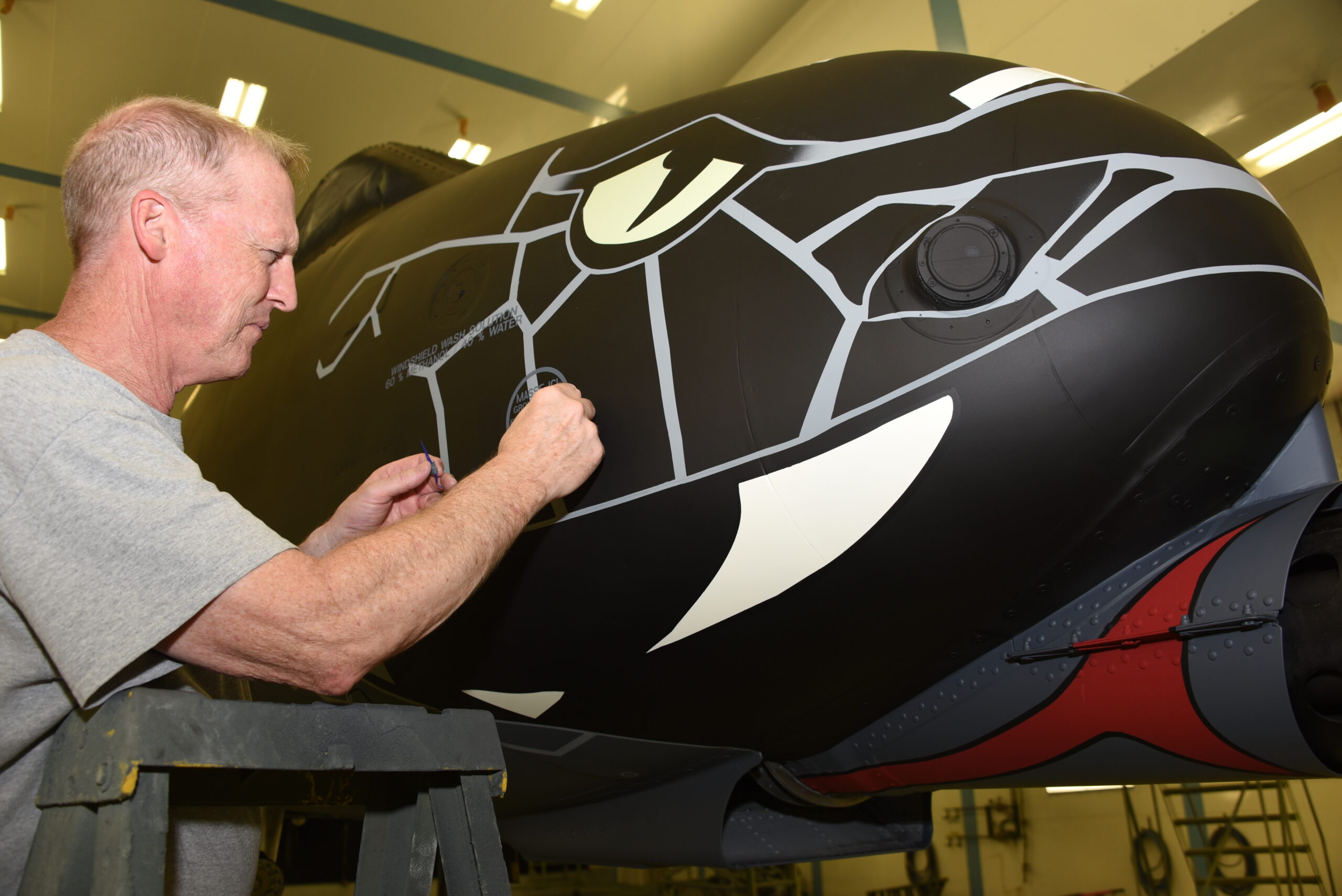 An A-10 with a blacksnake nose