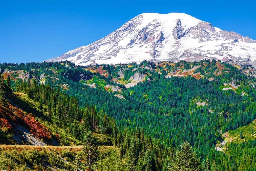 mount rainier summit view