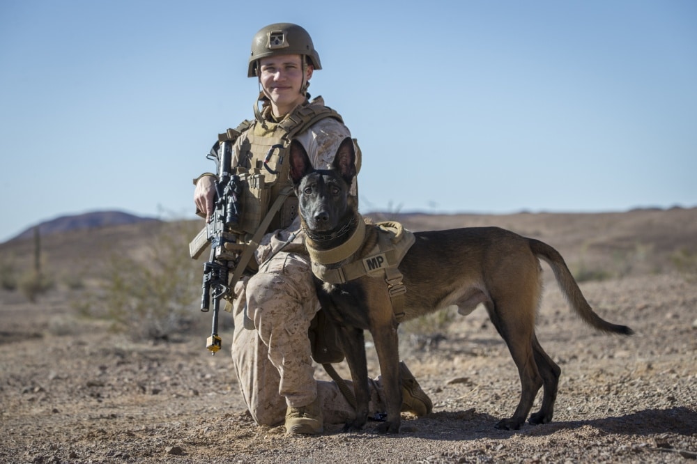 military dog and handler pose for picture