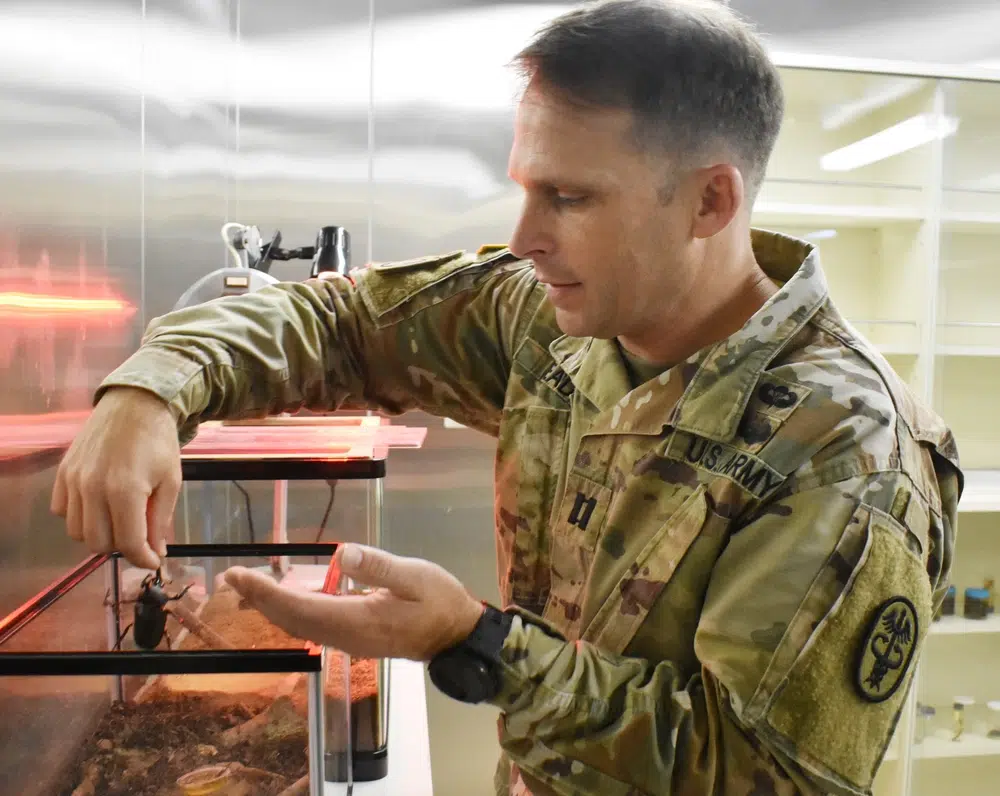 army entomologist weird military jobs