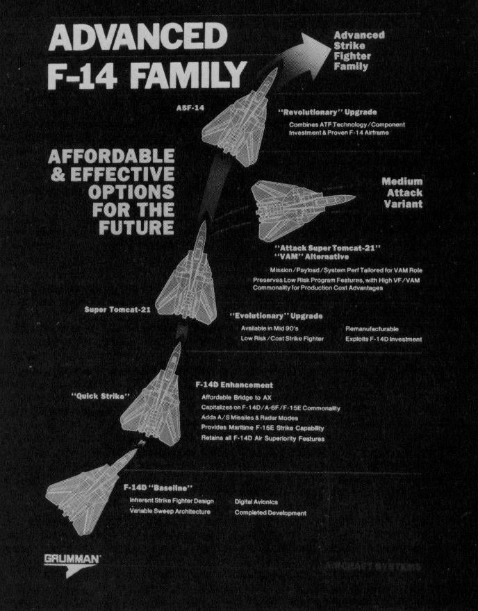 F-14 aircraft family diagram