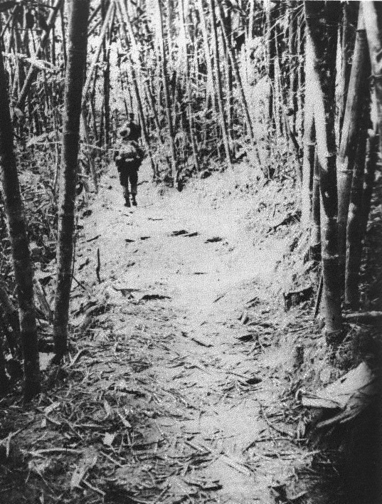MACV-SOG team reconnoiters Ho Chi Minh Trail