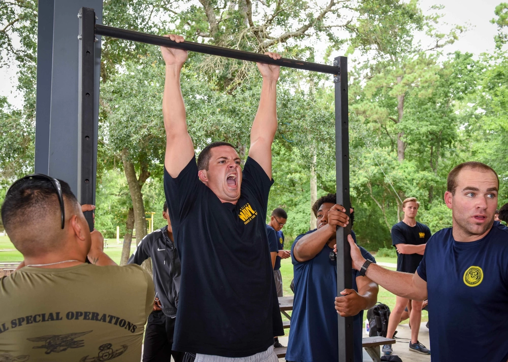 warrior challenge program pull up