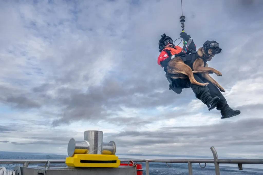 Maritime Safety and Security Teams K9