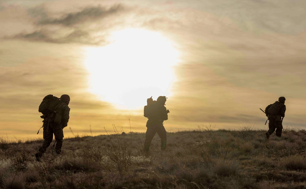 ANGLICO Marines close air support