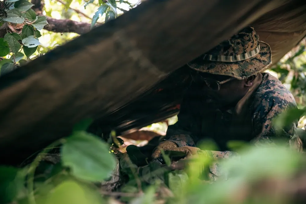 Marines jungle training